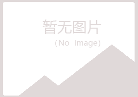 克山县残留会计有限公司